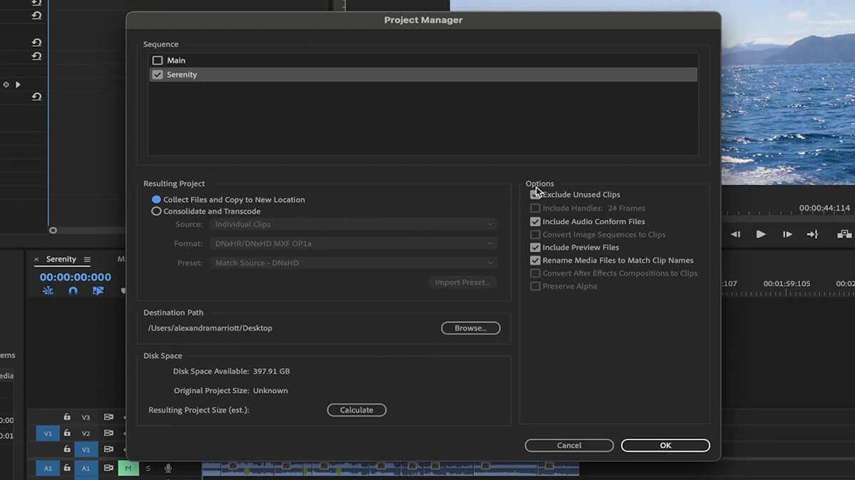 Adobe Premiere Pro Project Manager window