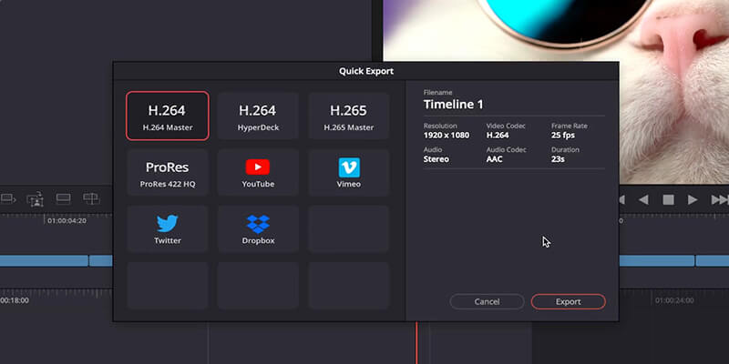 Quick Export window in DaVinci Resolve